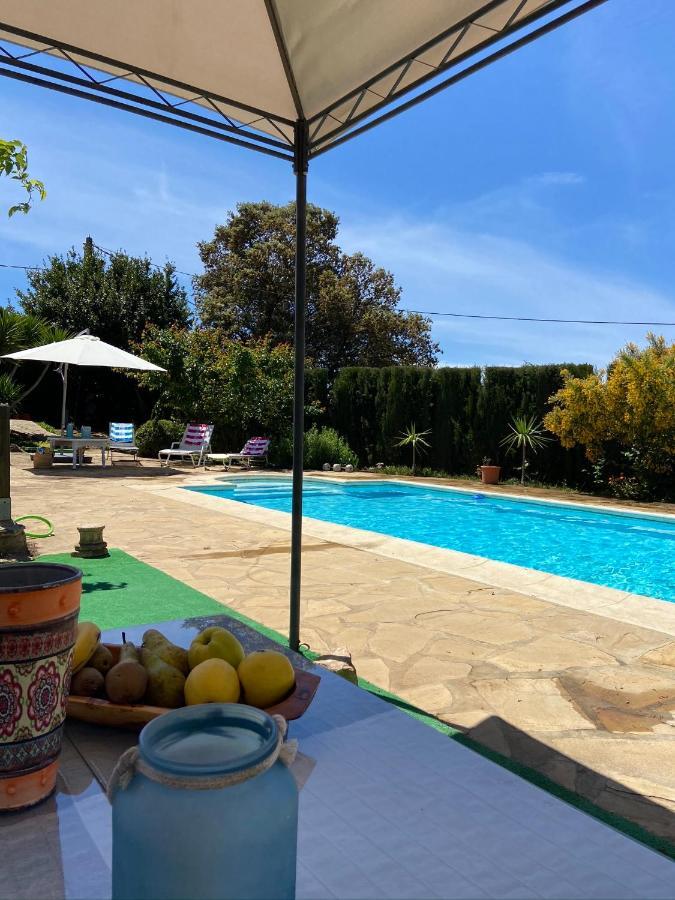 Rural El Molino - Jacuzzi Holiday home La Cimada